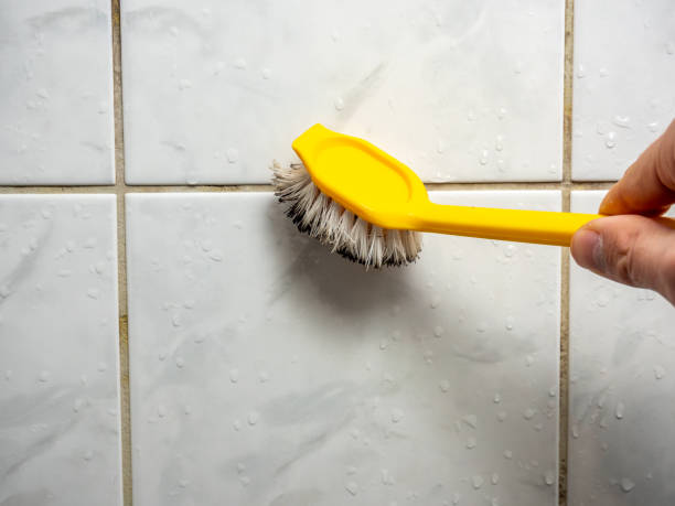 Best Office Mold Removal Services  in Rockland, ME