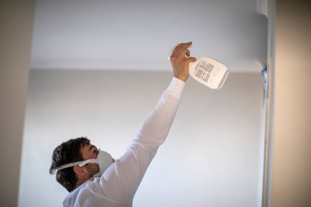 Best Mold Remediation Experts  in Rockland, ME