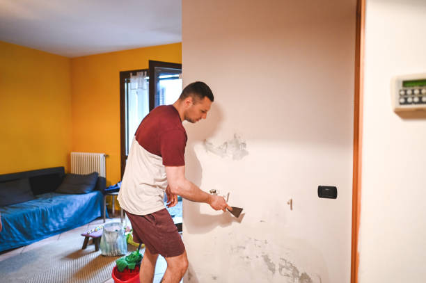 Best Home Mold Removal  in Rockland, ME